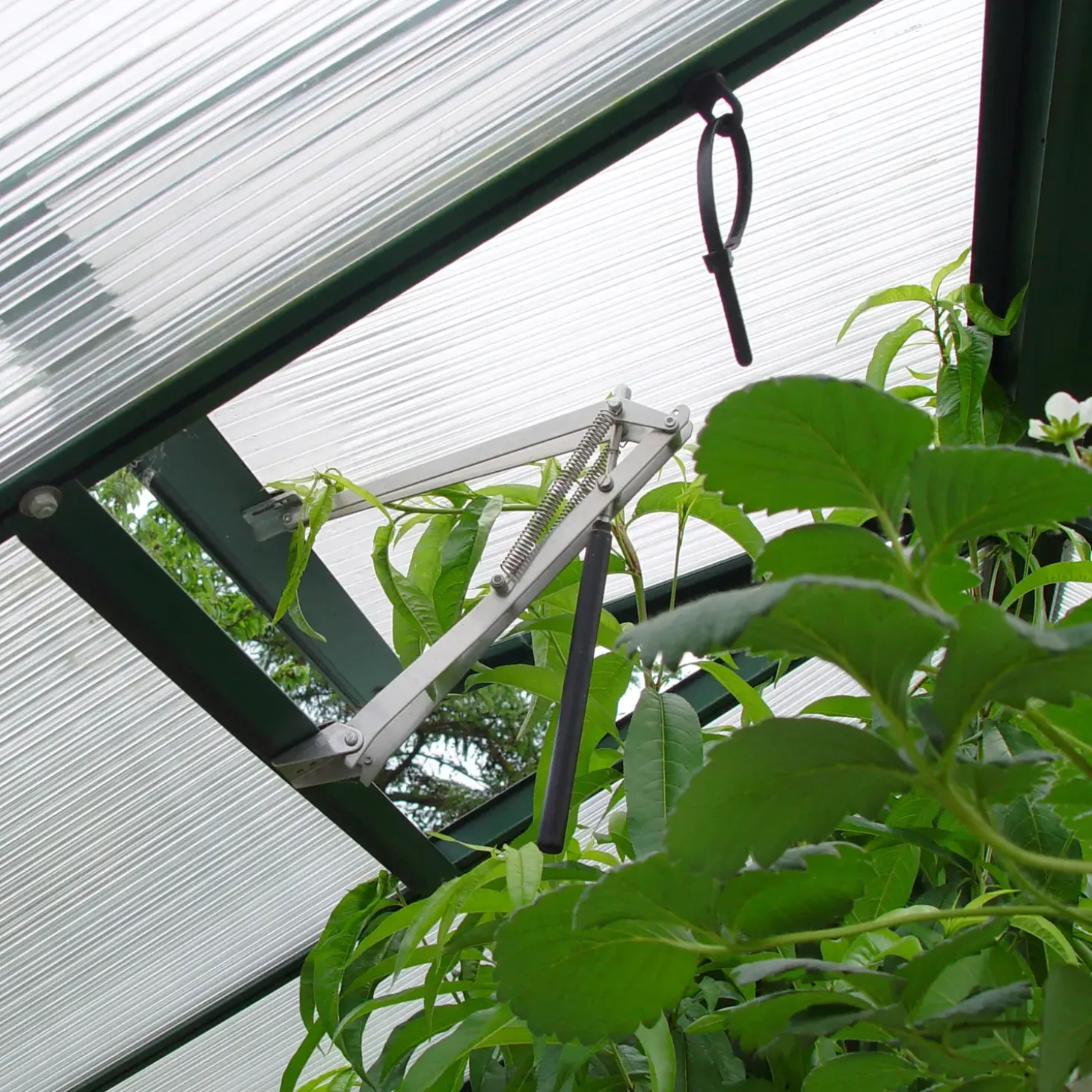 Juliana Gartner 16,2 m² drivhus alu/sort med 10mm polycarbonat