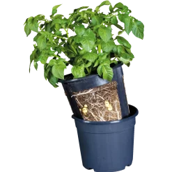 Kartoffelpotte12 ltr. sort